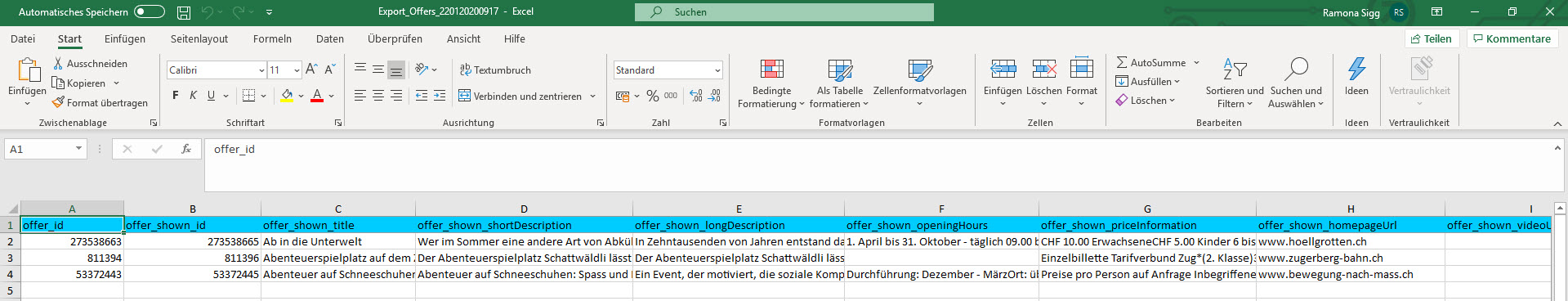 Excel-Dokument