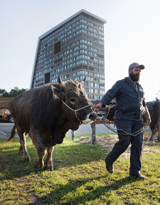 Tatort Ausgabe 53, Oktober 2018